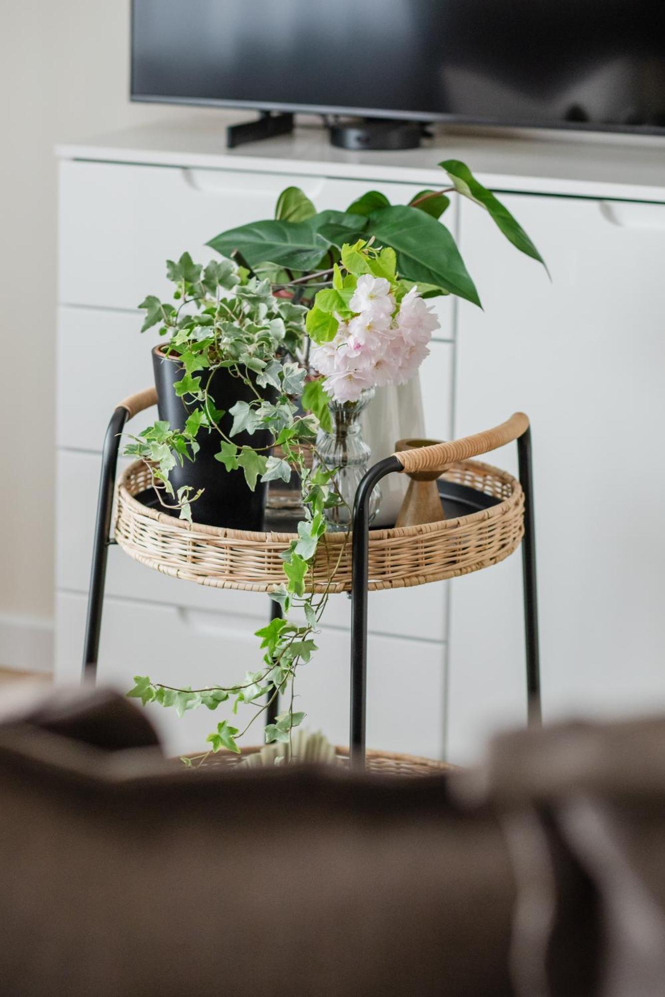 Ts Gold New Town Apartment & Free Private Parking Szczecin Exterior photo