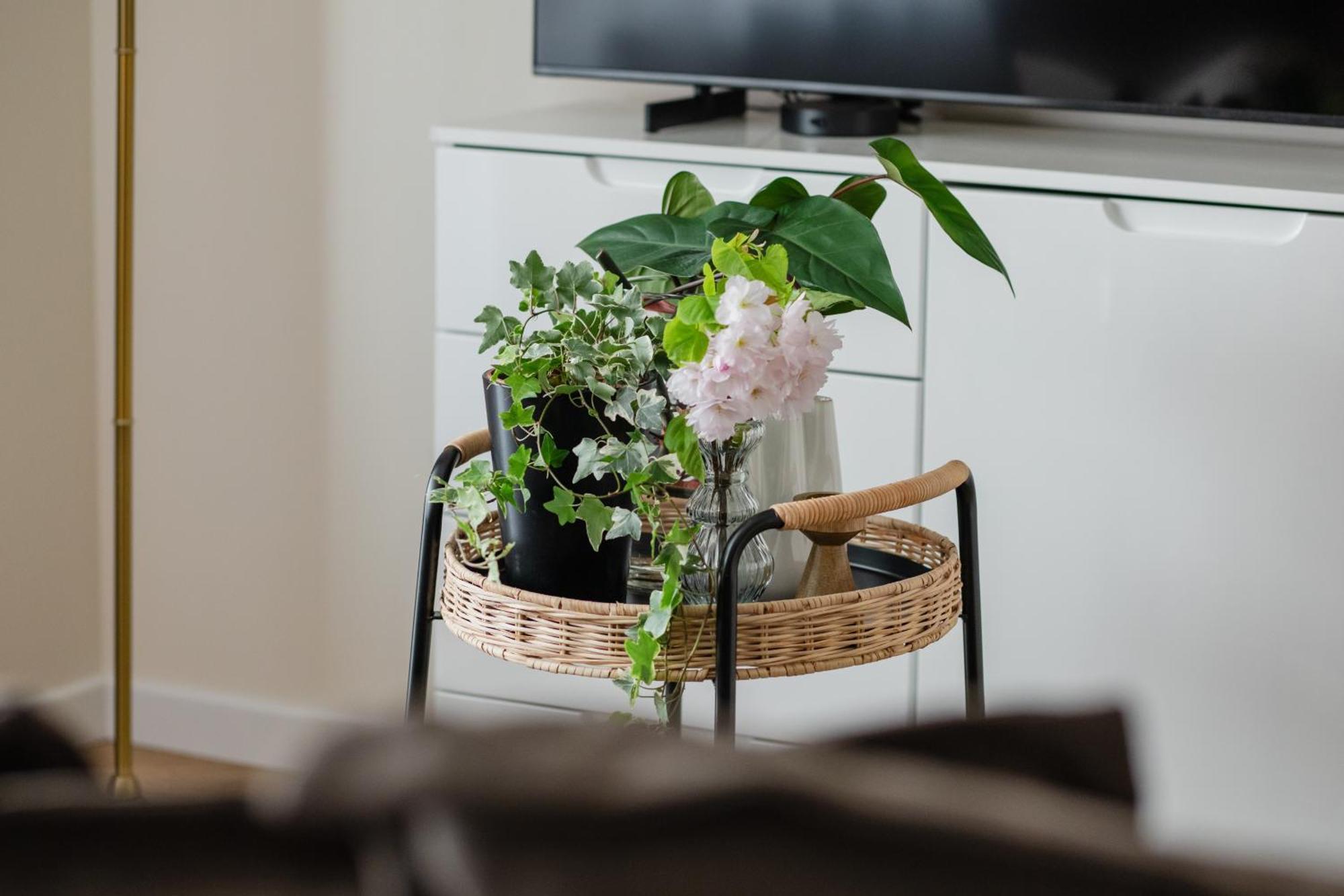 Ts Gold New Town Apartment & Free Private Parking Szczecin Exterior photo